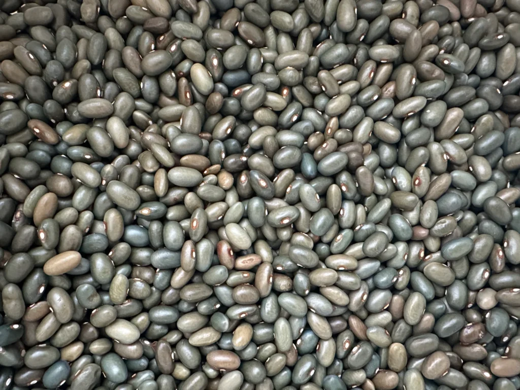 Malawi Green Beans