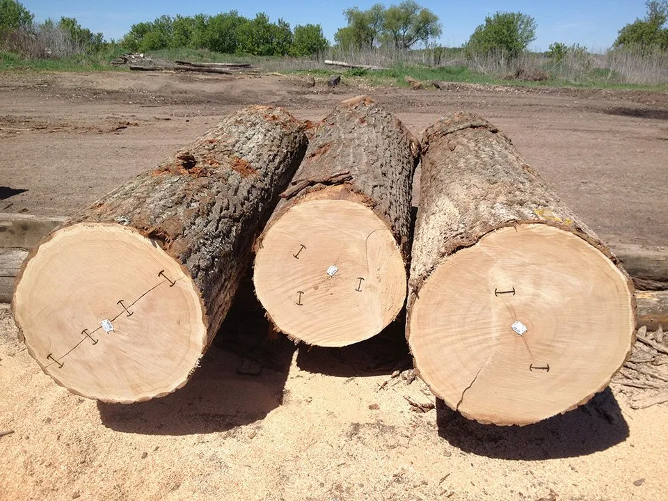 Premium Red & White Oak Logs - Image 2