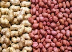 Peanuts